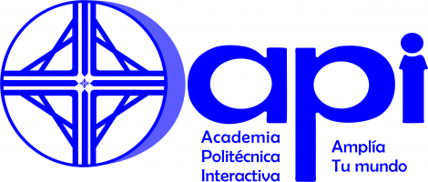 Academia Politecnica Interactiva